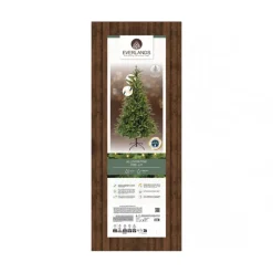 Albero di Natale Allison Illuminato h240Ø152cm PE+PVC-Kaemingk Discount