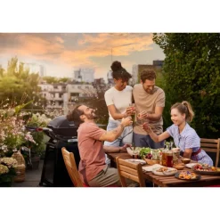 Barbecue a Gas Q 2800N+ Con Carrello Premium Black Cod. 1501123-Weber