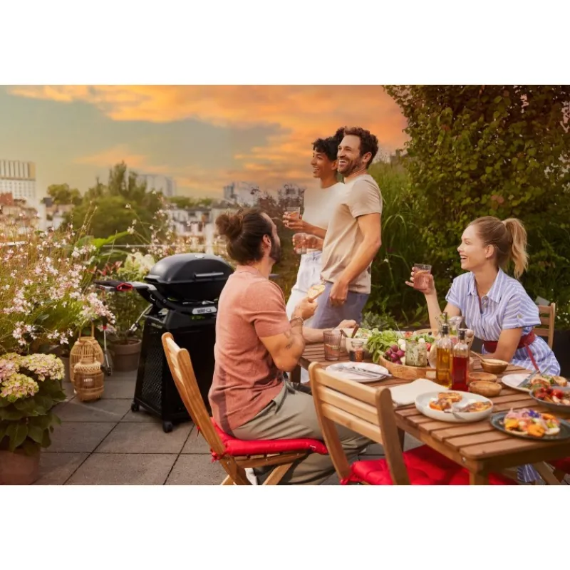 Barbecue a Gas Q 2800N+ Con Carrello Premium Black Cod. 1501123-Weber