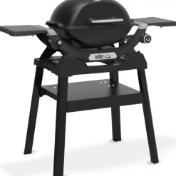 Barbecue a Gas Q 1200N Con Stand Black Cod. 1501087-Weber New