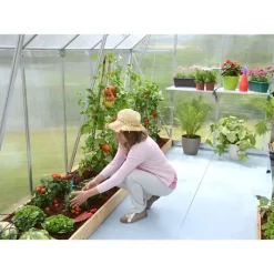 Essence Doppio Strato Serra Da Giardino in Policarbonato 367X244X229 cm Argento-Canopia