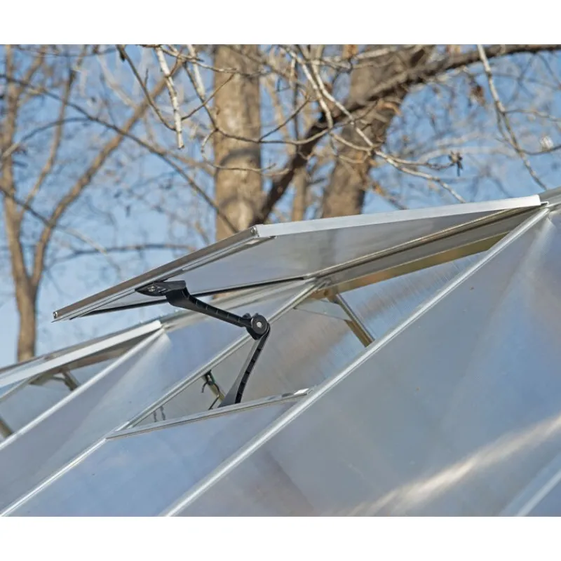 Essence Doppio Strato Serra Da Giardino in Policarbonato 487X244X229 cm Argento-Canopia