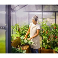 Glory Serra Da Giardino in Policarbonato di Premium 484X253X268 cm-Canopia Hot