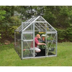 Harmony Trasparente Serra Da Giardino in Policarbonato 247X185X208 cm Argento-Canopia Discount