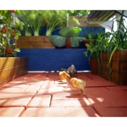 Hybrid Serra Da Giardino in Policarbonato 426X185X208 cm Argento-Canopia