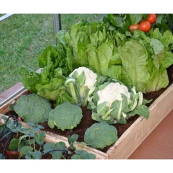 Kit Per Irrigazione A Goccia-Canopia Discount