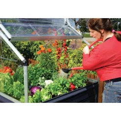 Plant-inn Mini Serra Da Giardino in Policarbonato 118X118X148 cm-Canopia Online