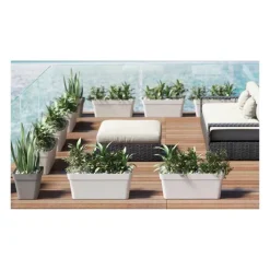 Fioriera Cleo-Veca Discount