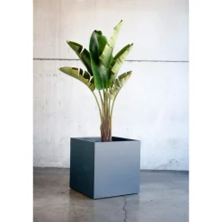 Fioriera Cubo PLANTER CUBE 80 in Metallo colore Antracite 80x80x80 cm-Herstera Online