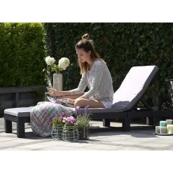 Lettino Sdraio Con Cuscino DAYTONA Grafite-Keter Hot