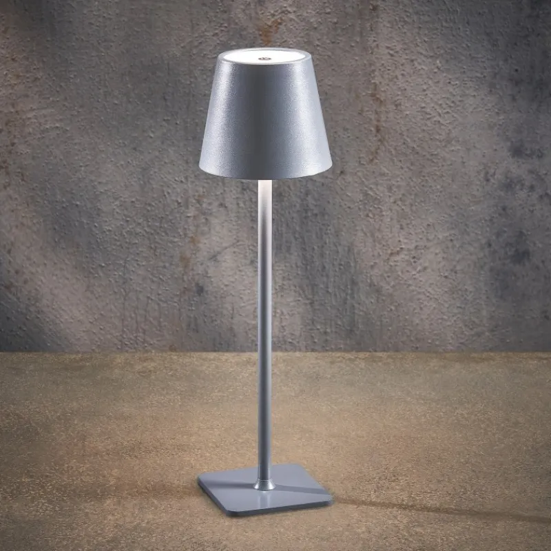 Lampada da Tavolo colore Argento LED Multicolore USB-C-Edelman Clearance