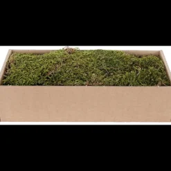 Muschio Piatto Essiccato 500 g Verde - Marrone-MyVillage Discount