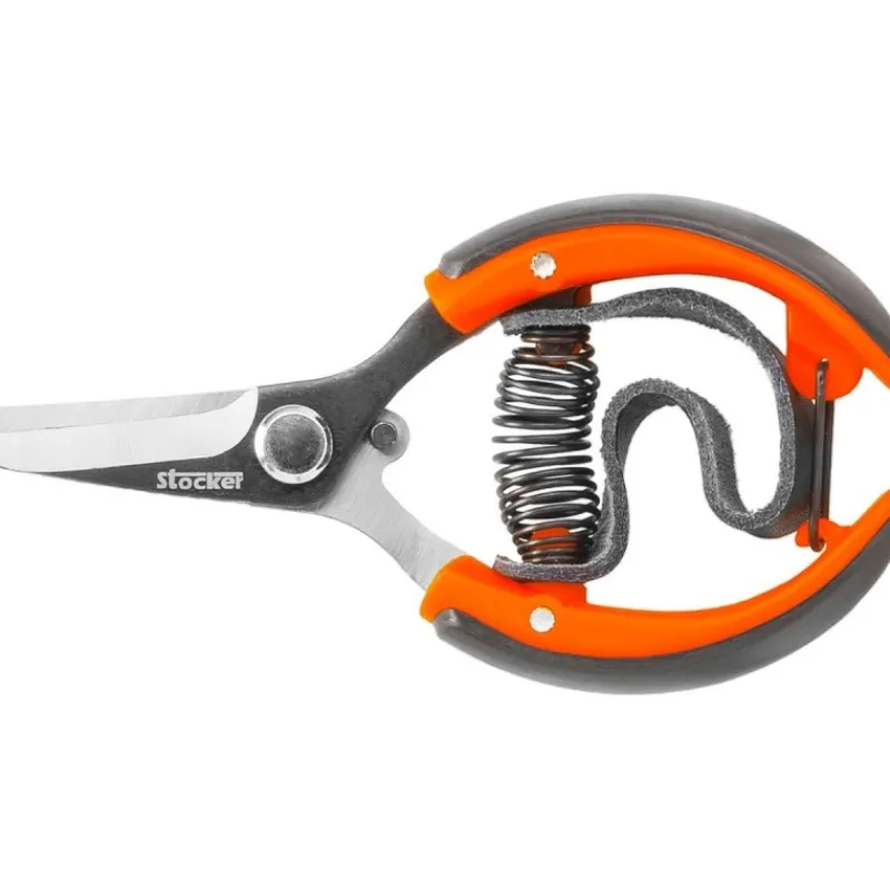 Forbice agrumi con cinghia 10 cm-Stocker Discount