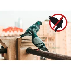 Geyser Nebulizzatore Mini 2 L Li-Ion 2,5 Br per Zanzare e Piccioni-Stocker Outlet