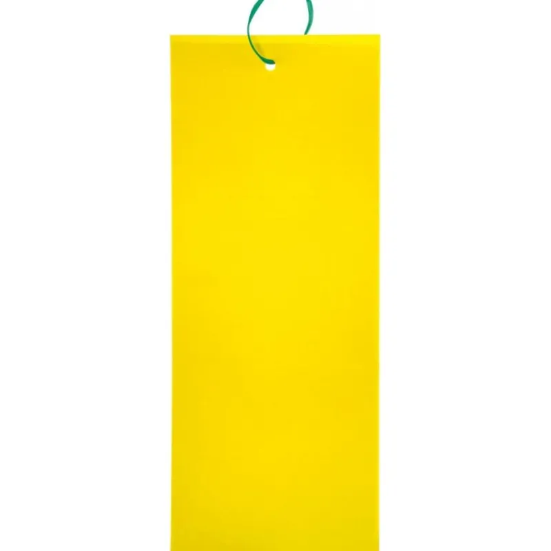 Insect Trappola adesiva XL 24 x 17 cm-Stocker Best