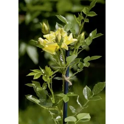 Jutec filo di iuta biodegradabile 50 m naturale-Stocker