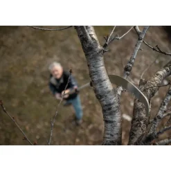 Seghetto Corvo 430 TC-Stocker Clearance