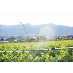 Tubo bianco 100 m Ø 6 mm per Geyser-Stocker Hot