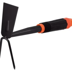 Zappetta quadrata-Stocker New