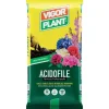 Terriccio Acidofile 25 litri-Vigorplant New