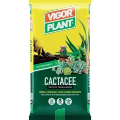 Terriccio Cactacee 5 litri-Vigorplant Best