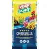 Terriccio Cinquestelle 45 litri-Vigorplant Clearance