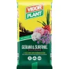 Terriccio Gerani & Surfinie 70 litri-Vigorplant Best