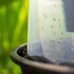 Trappola da esterno per zanzara tigre BG-GAT Reflect-tech (X2)-Biogents Hot