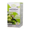 Trappola per Cimice Asiatica CYMATRAP GARDEN-InVerde New
