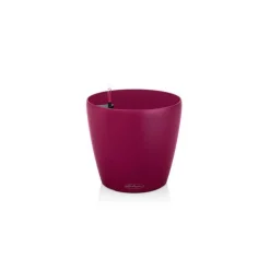 Vaso Classico Color 21 Set Completo-Lechuza Discount