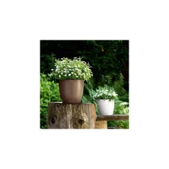 Vaso Classico Color 28 Set Completo-Lechuza Best