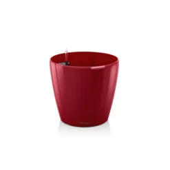 Vaso Classico Premium 21 Set Completo-Lechuza Discount