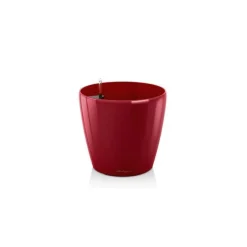 Vaso Classico Premium 70 Set Completo-Lechuza Outlet