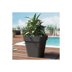 Vaso Cleo Quadrato-Veca Sale