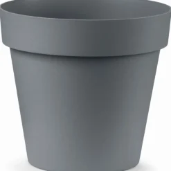 Vaso Cleo Rotondo-Veca Hot