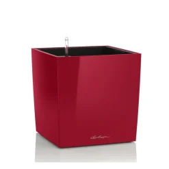 Vaso Cube 30 Set Completo-Lechuza Best