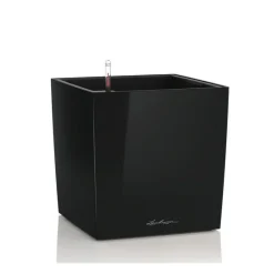 Vaso Cube 30 Set Completo-Lechuza Best