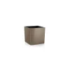 Vaso Cube 40 Set Completo-Lechuza Hot