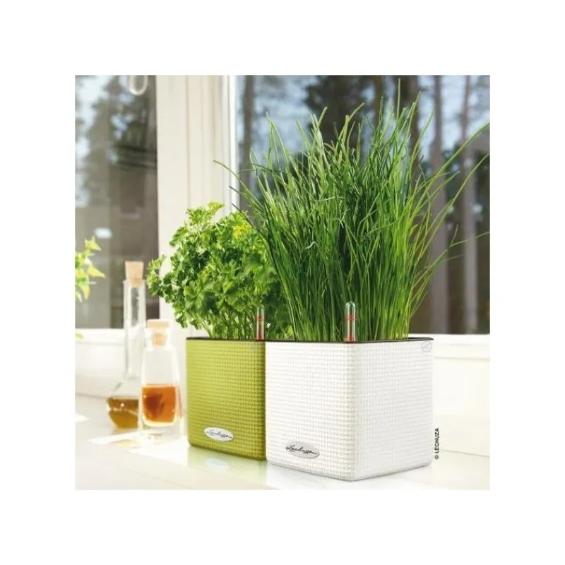 Vaso Cube Color 14 Set Completo-Lechuza Sale