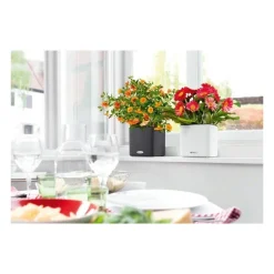 Vaso Cube Color 16 Set Completo-Lechuza Outlet