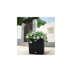 Vaso Cube Cottage 50 Set Completo-Lechuza Clearance