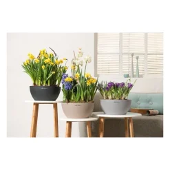 Vaso Cubeto 40 Set Completo-Lechuza Clearance