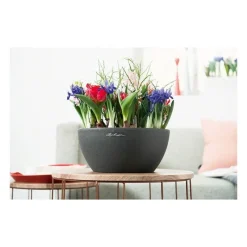 Vaso Cubeto 40 Set Completo-Lechuza Clearance