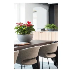 Vaso Cubeto 40 Set Completo-Lechuza Clearance