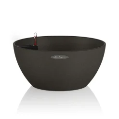 Vaso Cubeto 30 Set Completo-Lechuza Discount