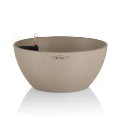 Vaso Cubeto 30 Set Completo-Lechuza Discount