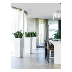 Vaso Cubico Alto Set Completo-Lechuza Outlet