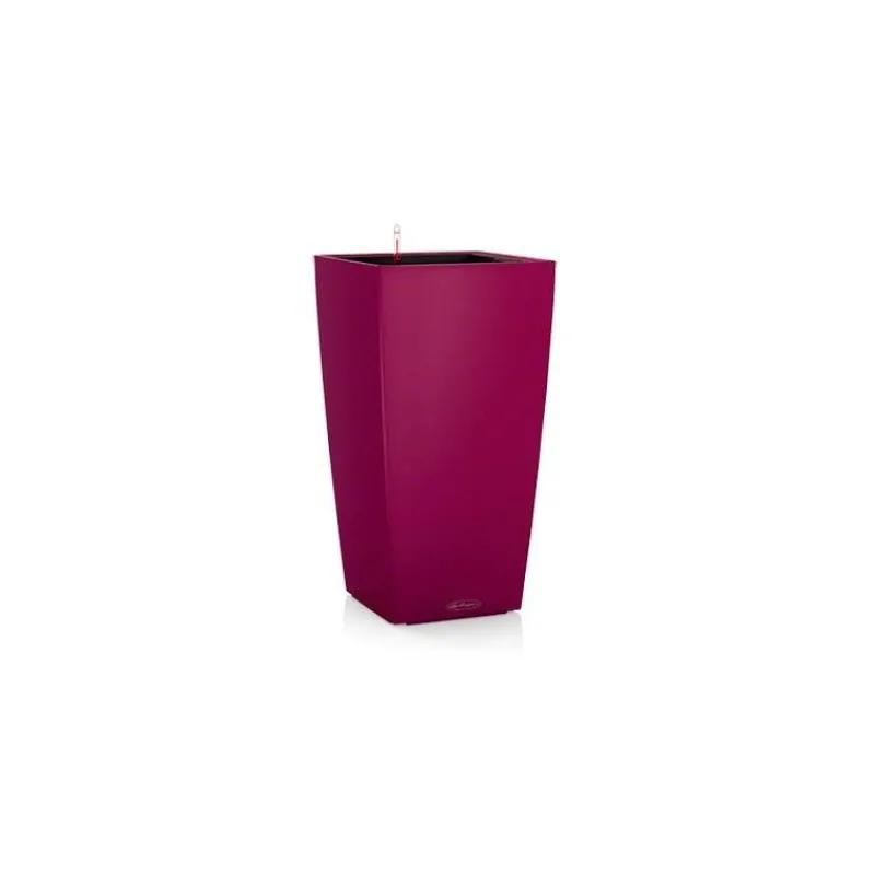 Vaso Cubico Color 22 Set Completo-Lechuza Sale