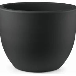 Vaso Eggy-Veca Online