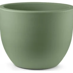 Vaso Eggy-Veca Online